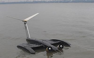 Bat Micro Air Vehicle